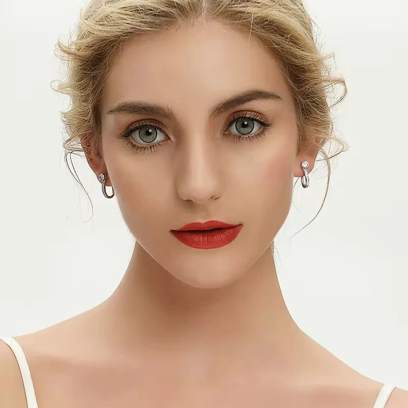 Moissanite Hoop Earrings in Silver – Elegant Jewelry for Every Occasion